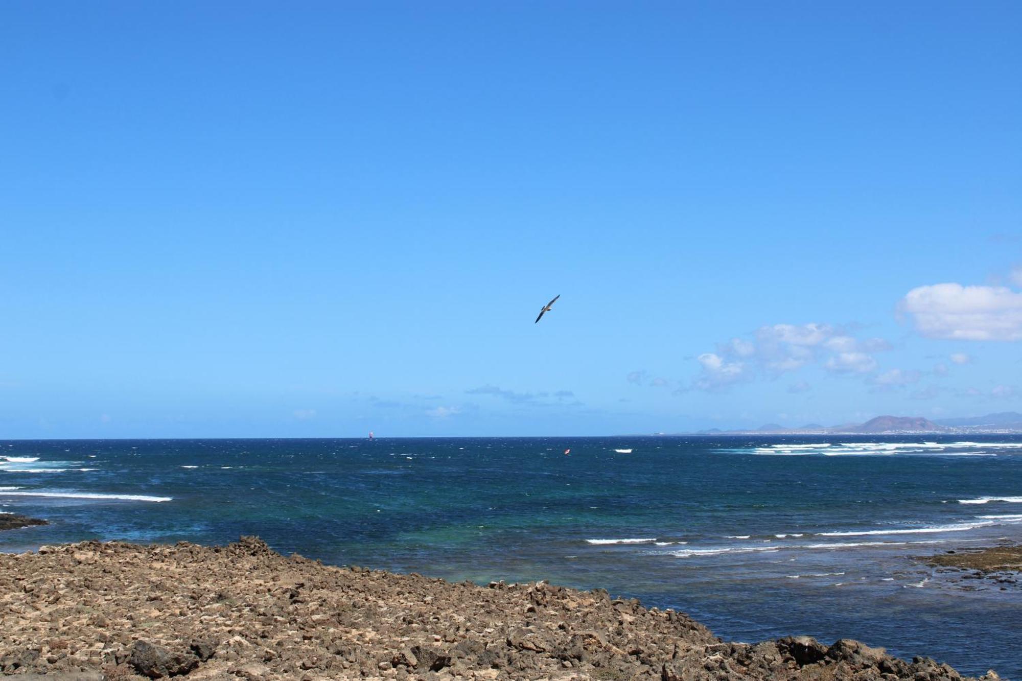 La Maresia By Sea You There Fuerteventura Majanicho Bagian luar foto